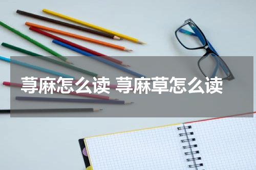 荨麻怎么读 荨麻草怎么读