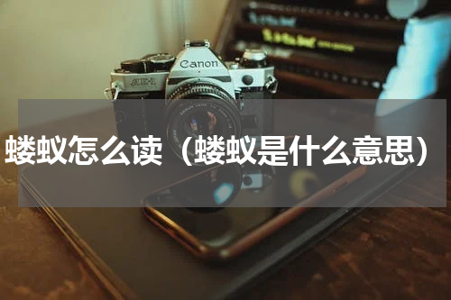 蝼蚁怎么读（蝼蚁是什么意思）