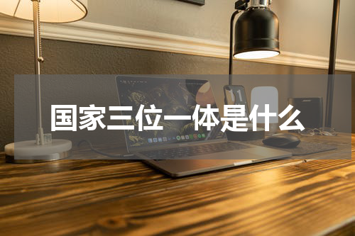 国家三位一体是什么