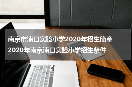 南京市浦口实验小学2020年招生简章 2020年南京浦口实验小学招生条件