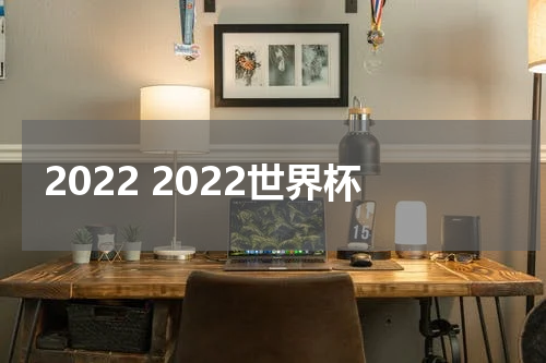 2022 2022世界杯