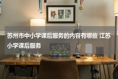 苏州市中小学课后服务的内容有哪些 江苏小学课后服务