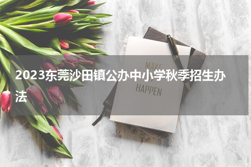 2023东莞沙田镇公办中小学秋季招生办法
