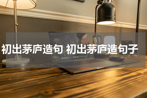 初出茅庐造句 初出茅庐造句子