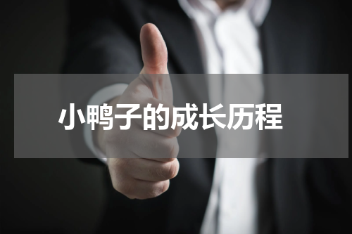  小鸭子的成长历程