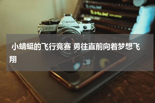  小蜻蜓的飞行竞赛 勇往直前向着梦想飞翔