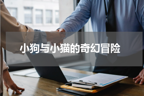  小狗与小猫的奇幻冒险