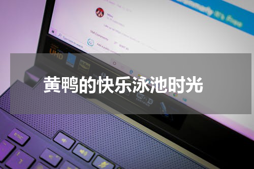  黄鸭的快乐泳池时光