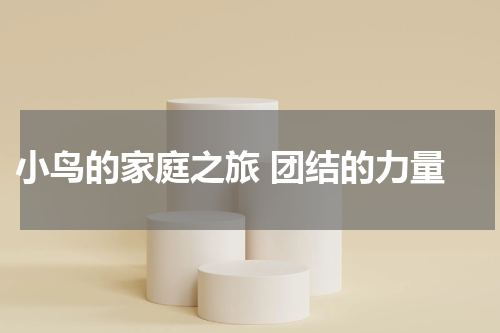  小鸟的家庭之旅 团结的力量