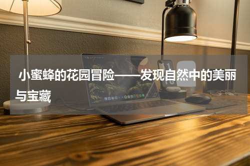 小蜜蜂的花园冒险——发现自然中的美丽与宝藏