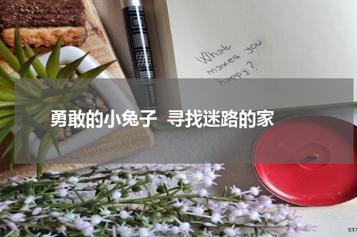  勇敢的小兔子  寻找迷路的家