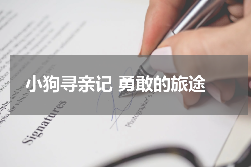  小狗寻亲记 勇敢的旅途