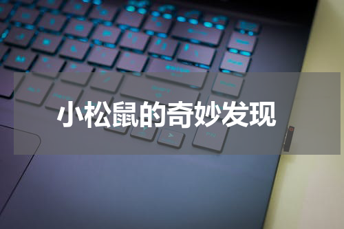  小松鼠的奇妙发现