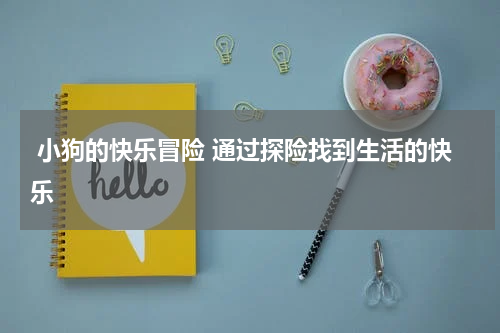  小狗的快乐冒险 通过探险找到生活的快乐