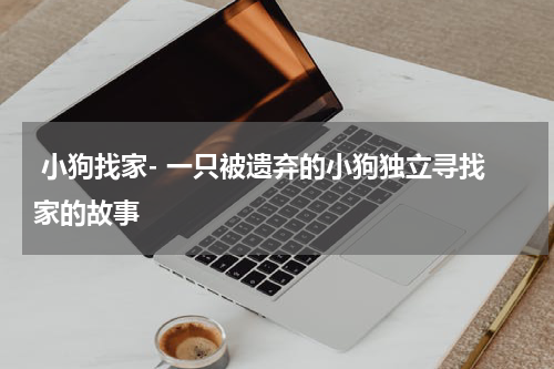 小狗找家- 一只被遗弃的小狗独立寻找家的故事