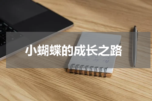  小蝴蝶的成长之路
