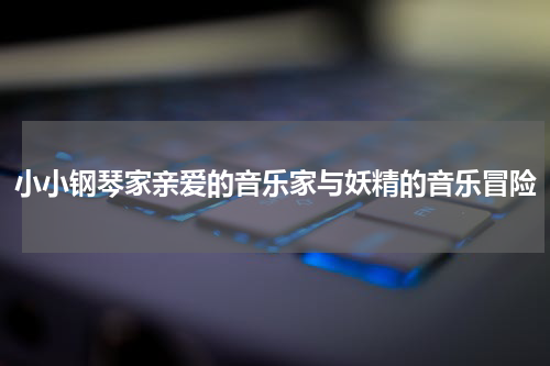 小小钢琴家亲爱的音乐家与妖精的音乐冒险