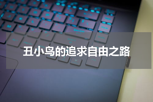 丑小鸟的追求自由之路