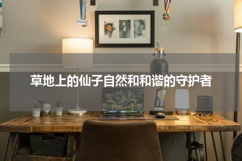 草地上的仙子自然和和谐的守护者