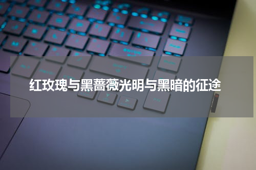 红玫瑰与黑蔷薇光明与黑暗的征途