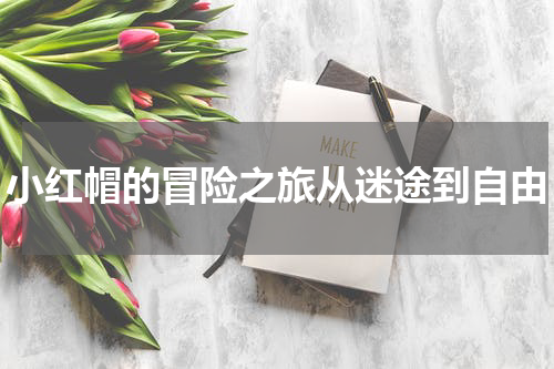 小红帽的冒险之旅从迷途到自由