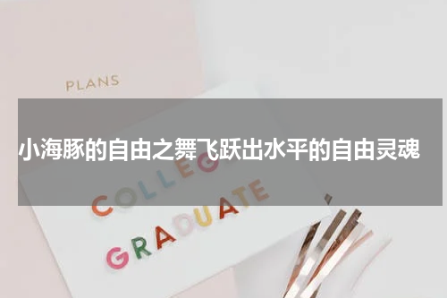 小海豚的自由之舞飞跃出水平的自由灵魂