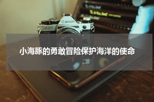 小海豚的勇敢冒险保护海洋的使命