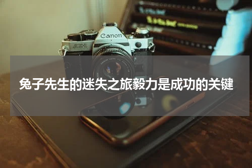 兔子先生的迷失之旅毅力是成功的关键