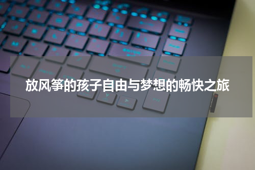 放风筝的孩子自由与梦想的畅快之旅