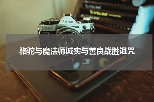 骆驼与魔法师诚实与善良战胜诅咒