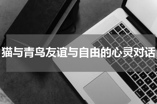 猫与青鸟友谊与自由的心灵对话