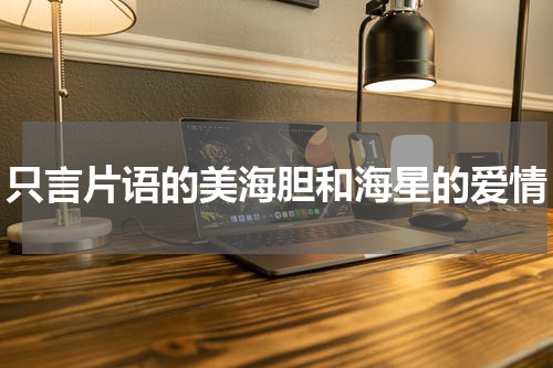 只言片语的美海胆和海星的爱情