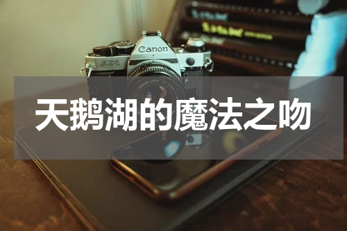 天鹅湖的魔法之吻