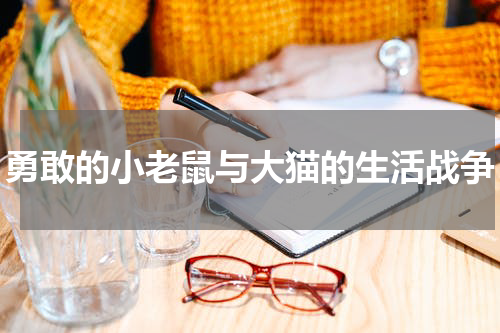 勇敢的小老鼠与大猫的生活战争