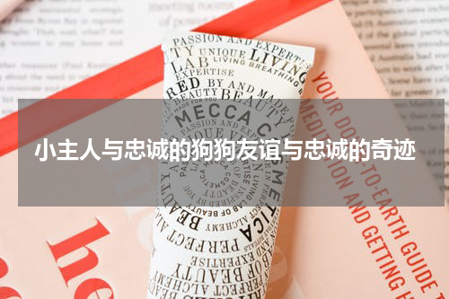 小主人与忠诚的狗狗友谊与忠诚的奇迹