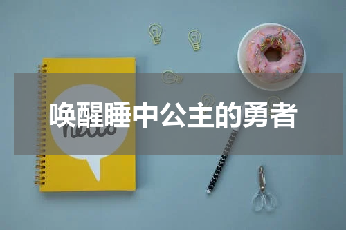 唤醒睡中公主的勇者