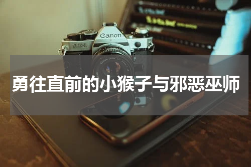 勇往直前的小猴子与邪恶巫师