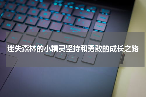 迷失森林的小精灵坚持和勇敢的成长之路