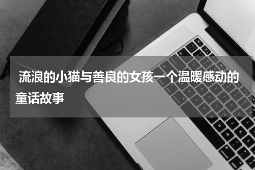 流浪的小猫与善良的女孩一个温暖感动的童话故事
