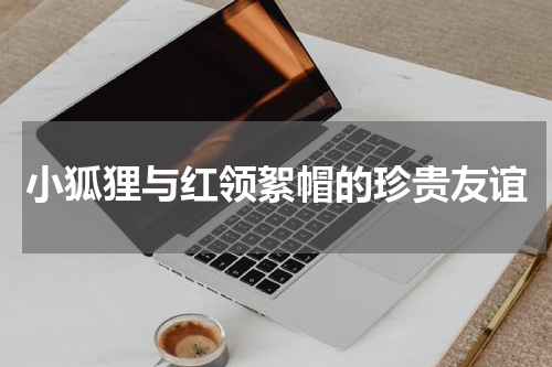 小狐狸与红领絮帽的珍贵友谊