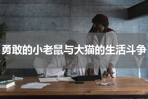 勇敢的小老鼠与大猫的生活斗争