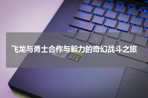 飞龙与勇士合作与毅力的奇幻战斗之旅