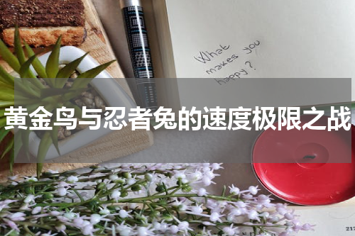 黄金鸟与忍者兔的速度极限之战