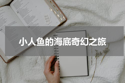 小人鱼的海底奇幻之旅