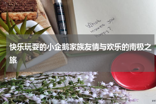 快乐玩耍的小企鹅家族友情与欢乐的南极之旅