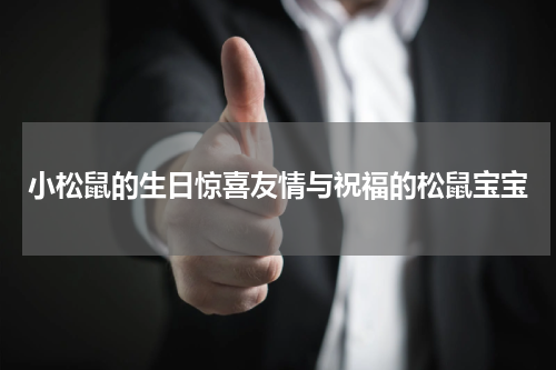 小松鼠的生日惊喜友情与祝福的松鼠宝宝