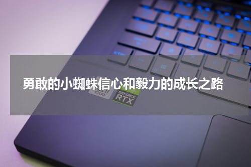  勇敢的小蜘蛛信心和毅力的成长之路