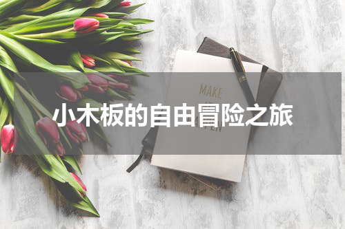 小木板的自由冒险之旅