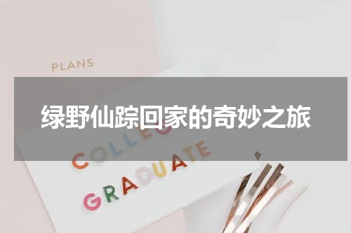 绿野仙踪回家的奇妙之旅