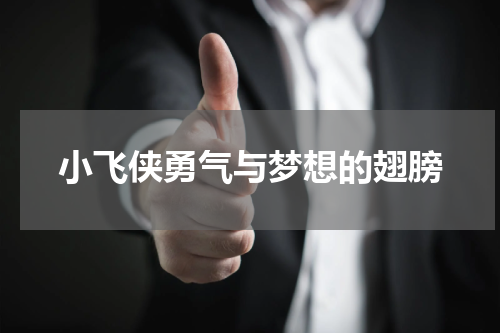 小飞侠勇气与梦想的翅膀